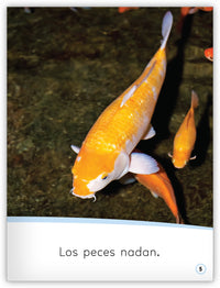 ¡Los animales se mueven!