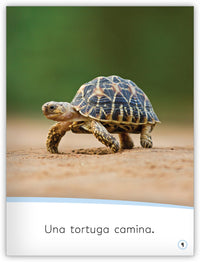 ¡Los animales se mueven!