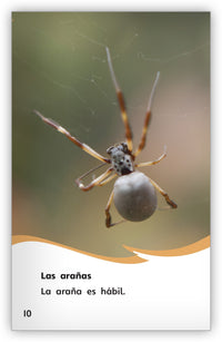 Los animales son hábiles from Fábulas y el Mundo Real