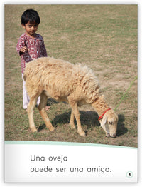 Los animales son nuestros amigos