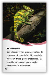 Los animales y sus trucos Leveled Book