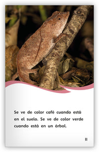 Los animales y sus trucos Leveled Book