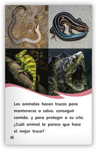 Los animales y sus trucos from Fábulas y el Mundo Real