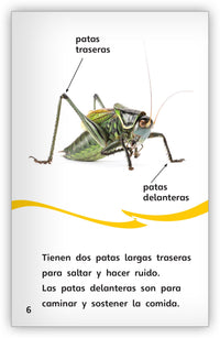 Los chapulines Leveled Book