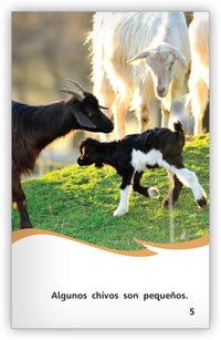 Los chivos se mueven Leveled Book