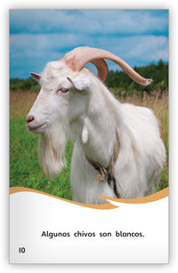 Los chivos se mueven Leveled Book