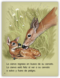 Los ciervos de cola blanca