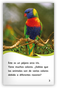 Los colores de los animales from Fábulas y el Mundo Real