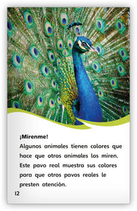Los colores de los animales from Fábulas y el Mundo Real