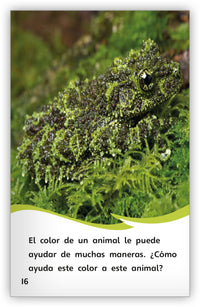 Los colores de los animales from Fábulas y el Mundo Real