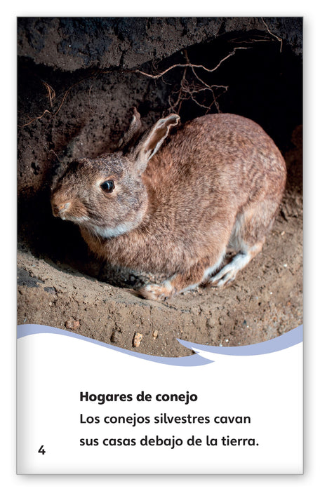 Los conejos silvestres from Fábulas y el Mundo Real