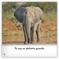 Los elefantes from Zoozoo En La Selva