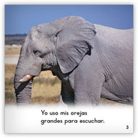 Los elefantes from Zoozoo En La Selva