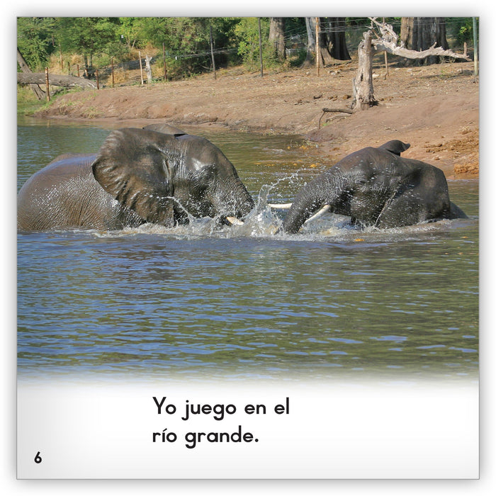Los elefantes from Zoozoo En La Selva