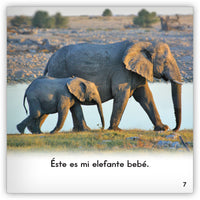 Los elefantes from Zoozoo En La Selva