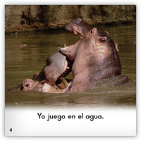 Los hipopótamos from Zoozoo En La Selva