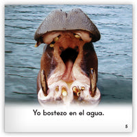 Los hipopótamos from Zoozoo En La Selva