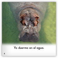 Los hipopótamos from Zoozoo En La Selva