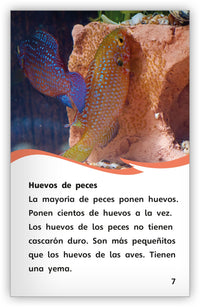 Los huevos from Fábulas y el Mundo Real