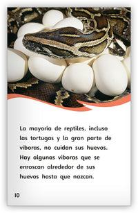 Los huevos from Fábulas y el Mundo Real