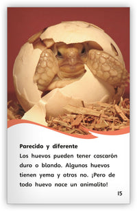 Los huevos from Fábulas y el Mundo Real