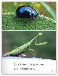 Los insectos