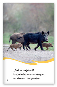 Los jabalíes from Fábulas y el Mundo Real