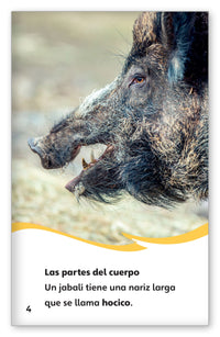 Los jabalíes from Fábulas y el Mundo Real