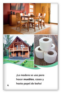 Los leñadores y los madereros from Fábulas y el Mundo Real