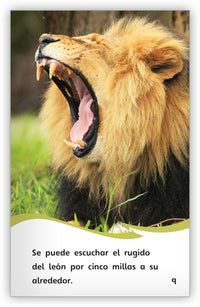 Los leones from Fábulas y el Mundo Real