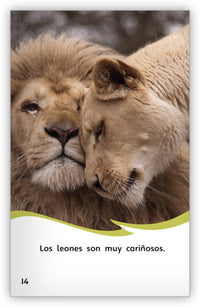 Los leones from Fábulas y el Mundo Real
