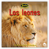 Los leones from Zoozoo En La Selva