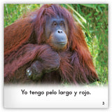 Los orangutanes from Zoozoo En La Selva