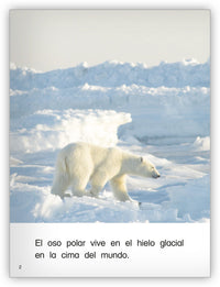 Los osos polares from Colección Caleidoscopio