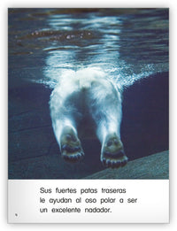 Los osos polares from Colección Caleidoscopio