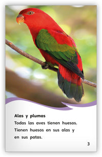 Los pájaros Leveled Book