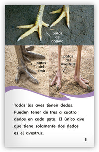 Los pájaros Leveled Book