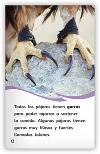 Los pájaros from Fábulas y el Mundo Real