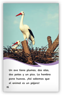 Los pájaros from Fábulas y el Mundo Real