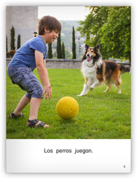 Los perros Big Book