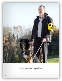 Los perros Big Book