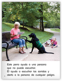 Los perros de servicio