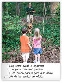 Los perros de servicio