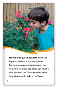 Los poderes de las flores from Fábulas y el Mundo Real