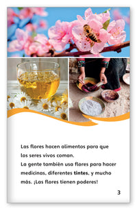 Los poderes de las flores from Fábulas y el Mundo Real