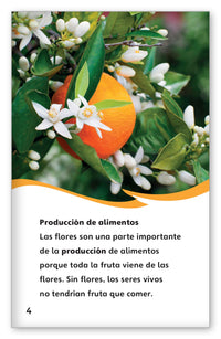 Los poderes de las flores from Fábulas y el Mundo Real