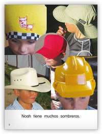 Los sombreros de Noah