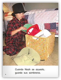 Los sombreros de Noah