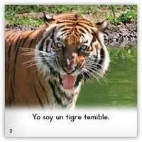 Los tigres from Zoozoo En La Selva