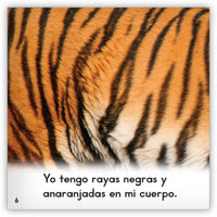 Los tigres from Zoozoo En La Selva